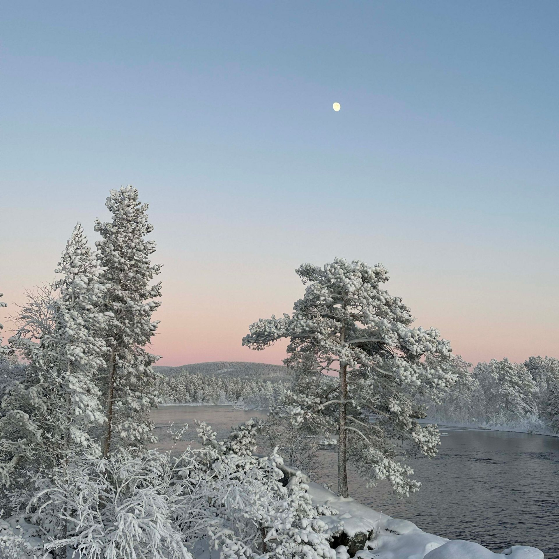 Villa Aurora Moskosel