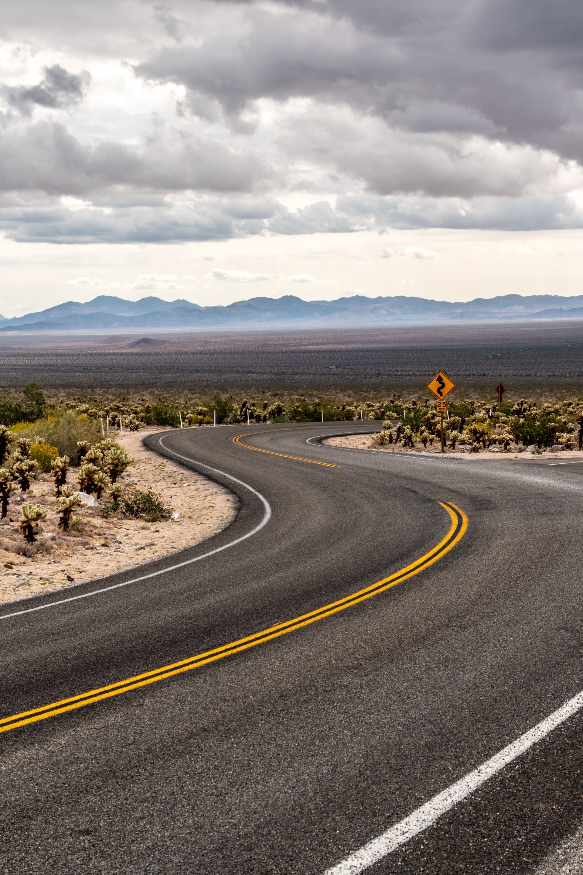 Titelbild Kolumne Take me home, country roads