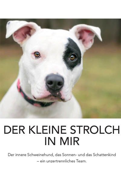 Titelbild Zeitschriftenartikel Der kleine Strolch