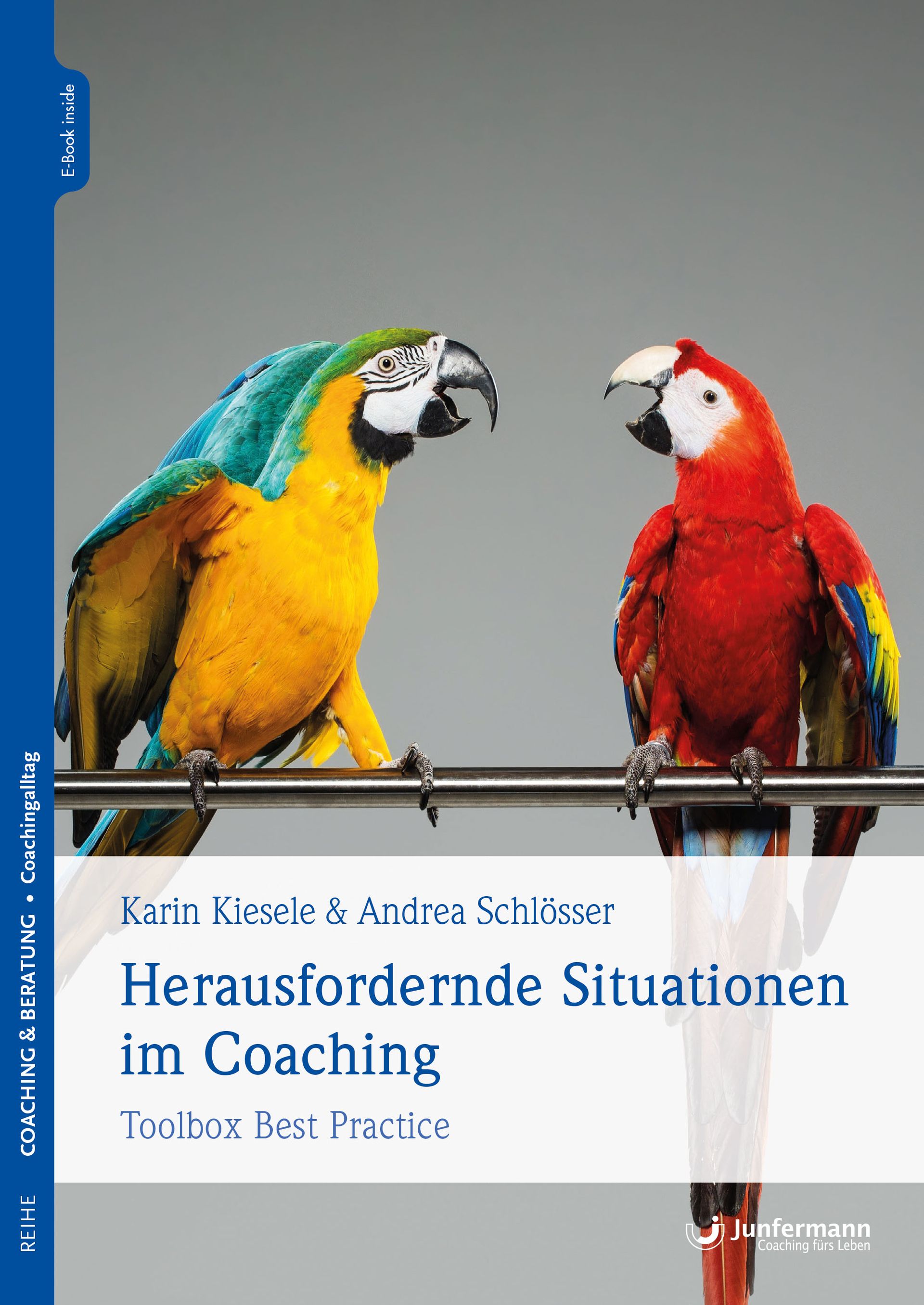 Das Titelbild des veröffentlichten Buchs von Karin Kiesele: Herausfordernde Situationen im Coaching