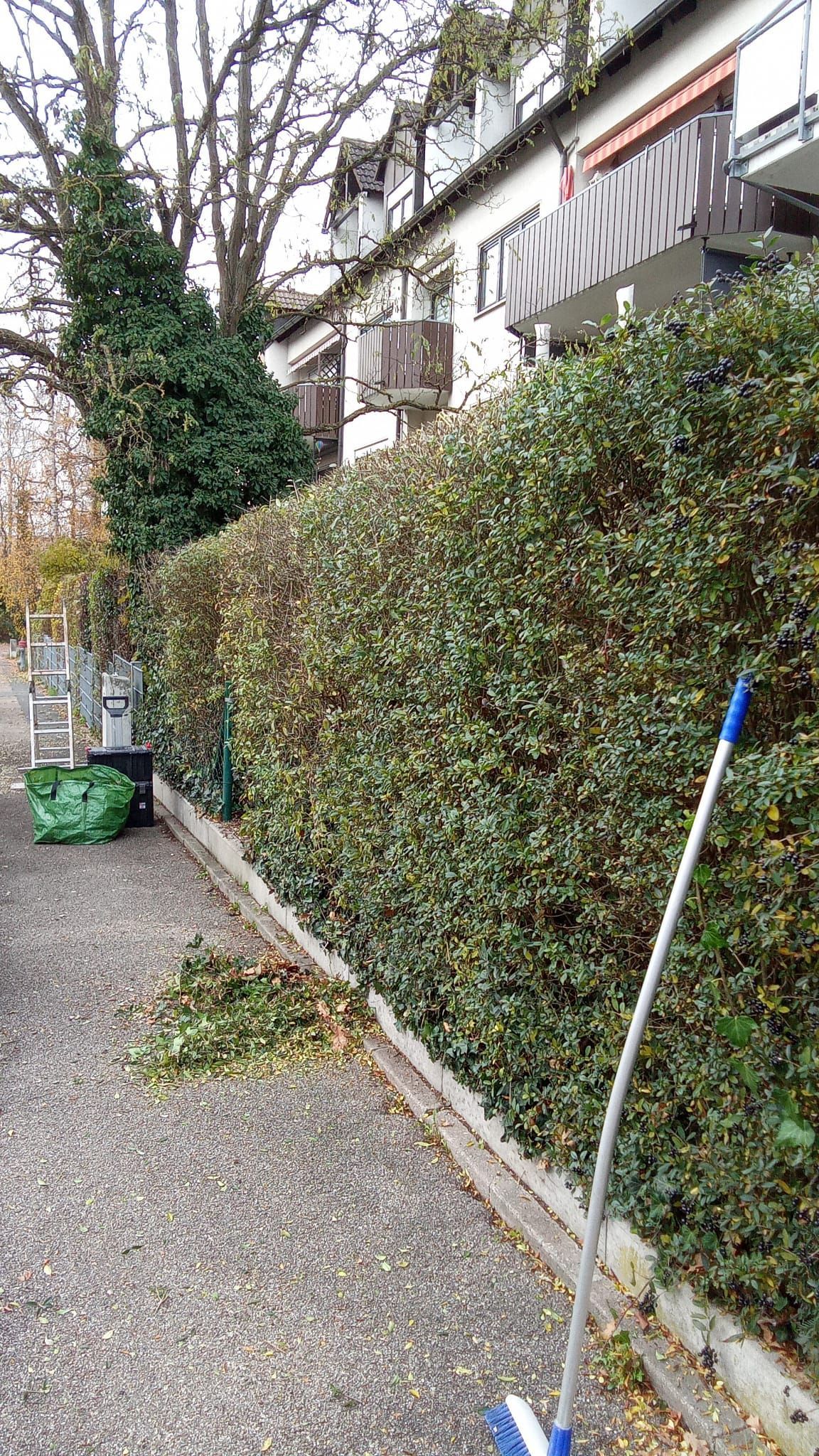 Eine gestutzte grüne Hecke neben einem Kiesweg, an der ein Besen lehnt, und im Hintergrund ein Gebäude.