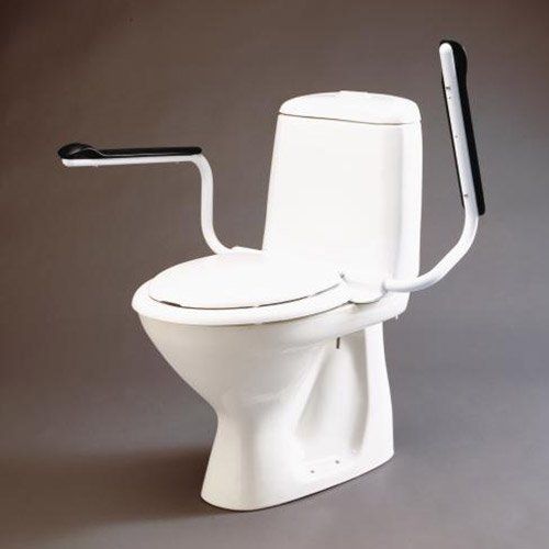 Toilet seat with adjustable arms