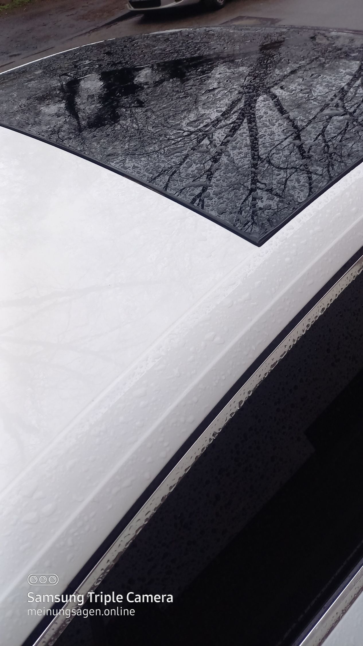 Audi A5-Baujahr 2019-Weiß-Dach-Glasschiebedach