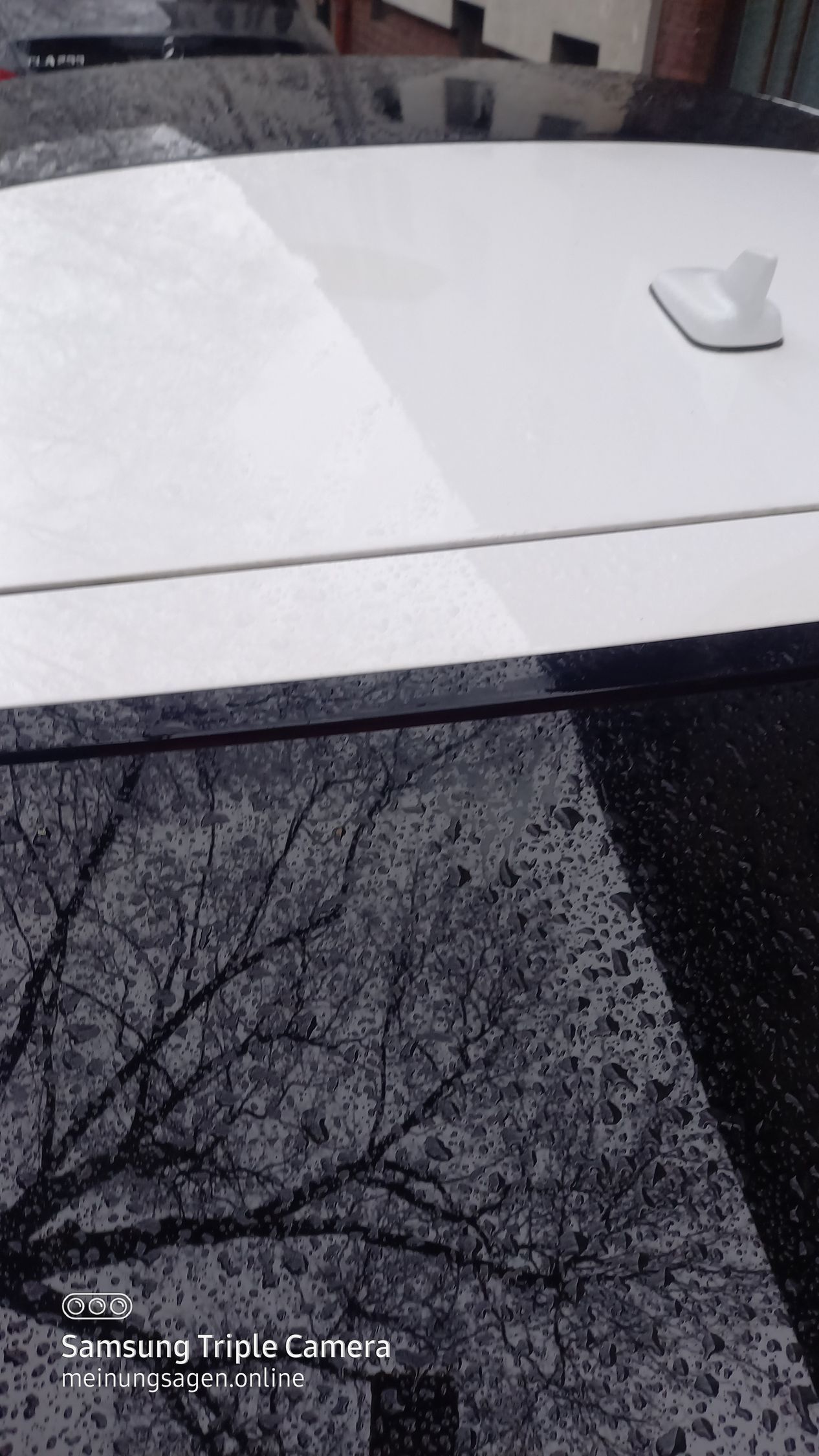 Audi A5-Baujahr 2019-Weiß-Heckscheibe- Bremslicht