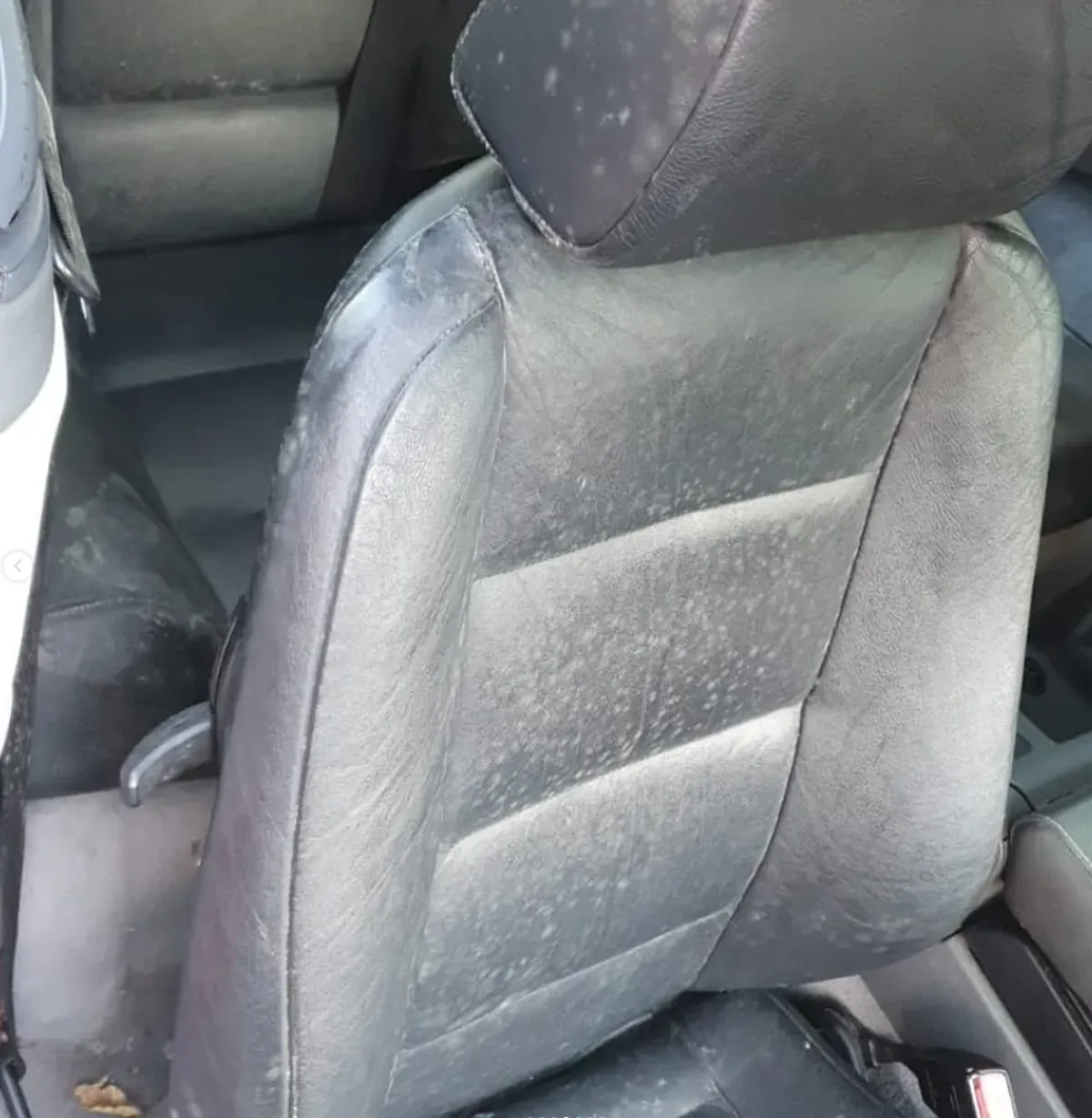 BMW 318i Cabrio Blau – Baujahr 1996 - Schimmel an Ledersitze