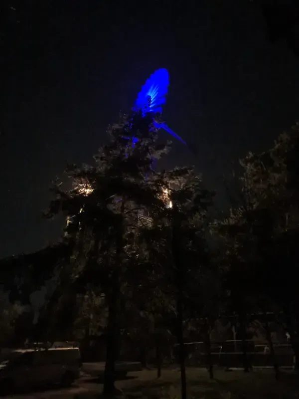  Beleuchteter Windrad Turm im Landschaftspark bei Nacht