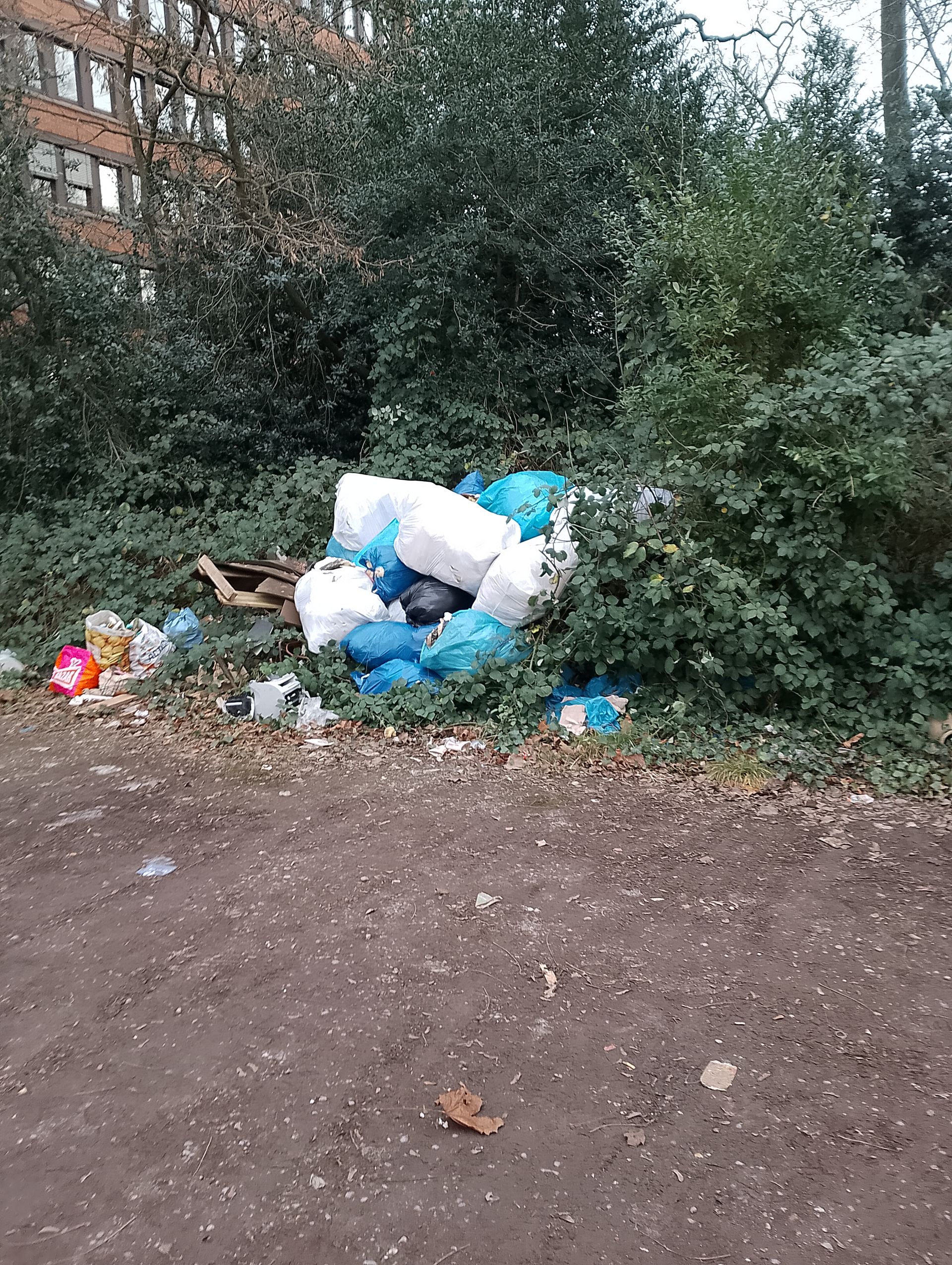 Duisburg Hamborn Richterstraße Kostenloser Parkplatz Abgestellter Müll