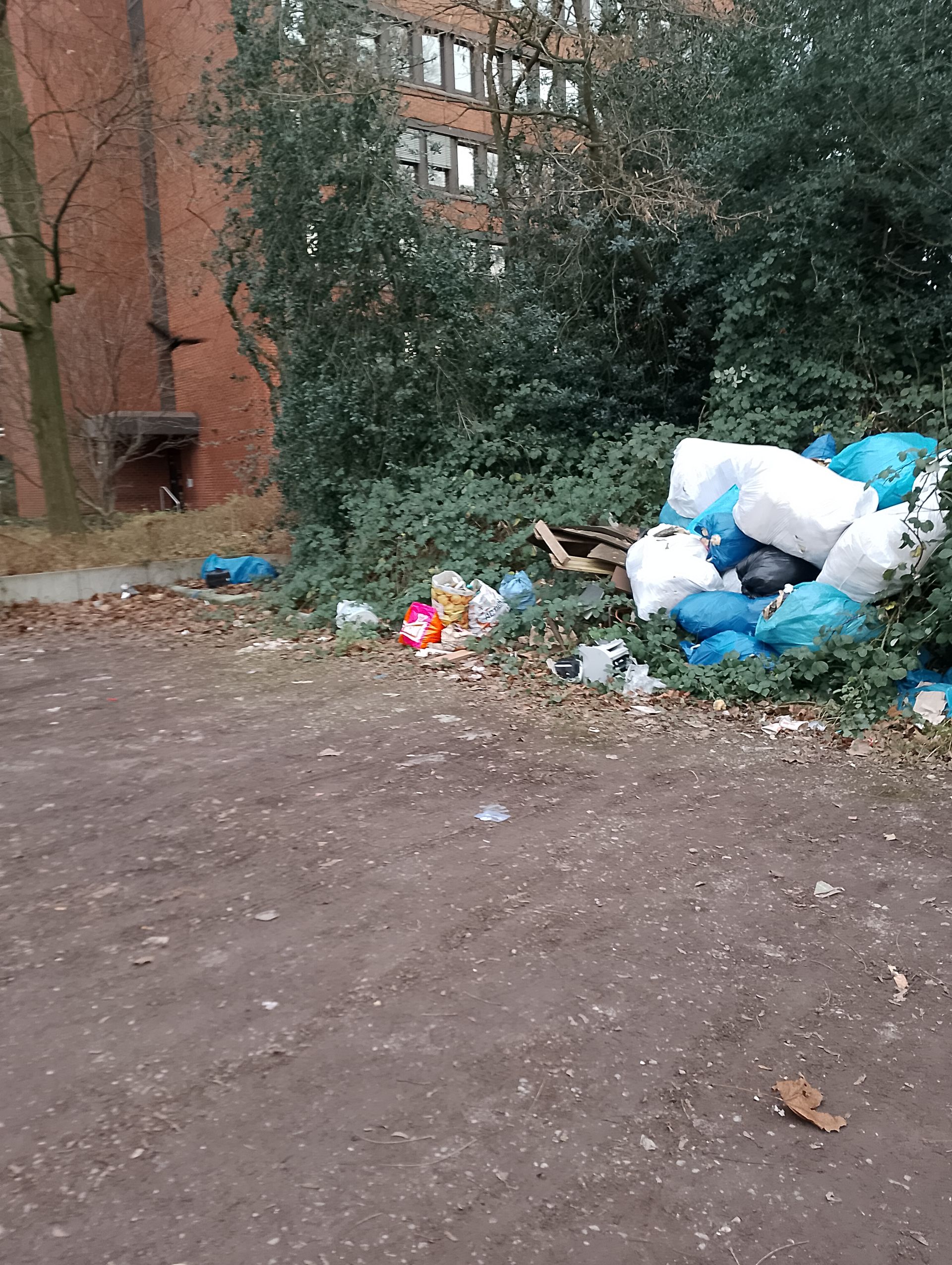 Duisburg Hamborn Richterstraße Kostenloser Parkplatz Müllhalte 1