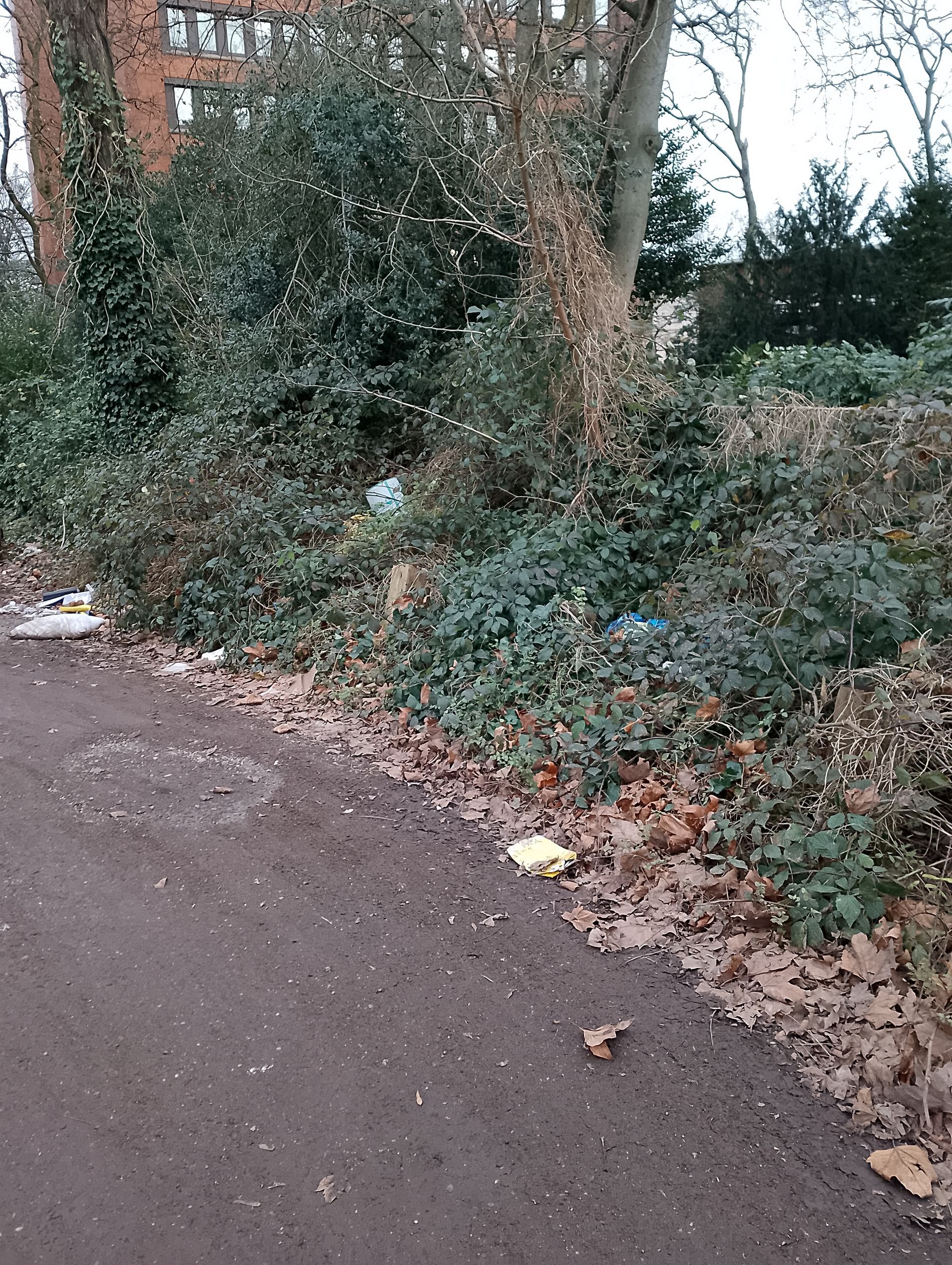 Duisburg Hamborn Richterstraße Kostenloser Parkplatz 1