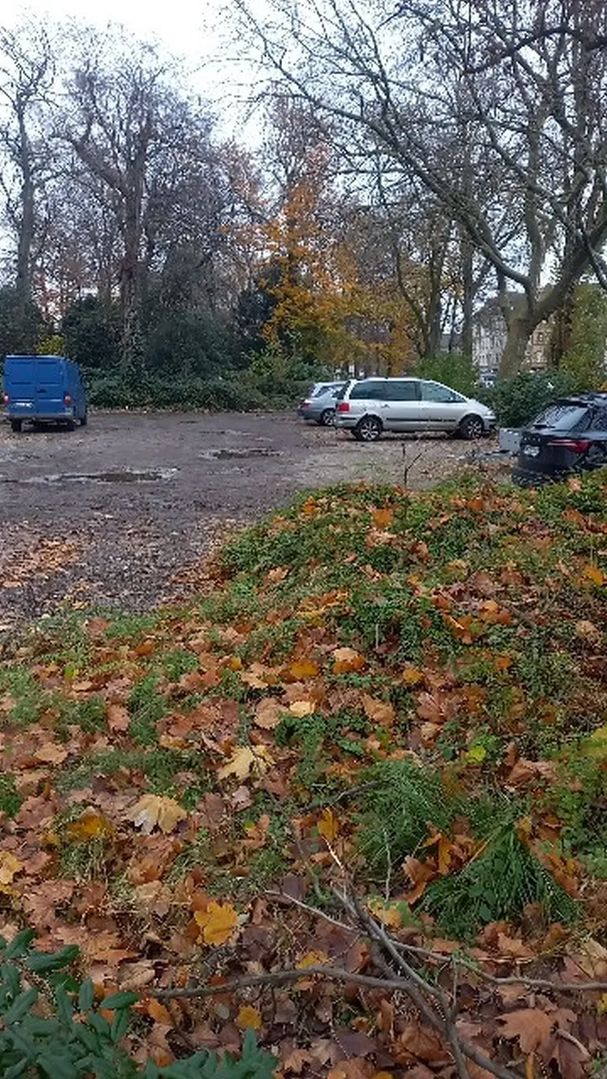 Parkwiese Hamborn vorher.