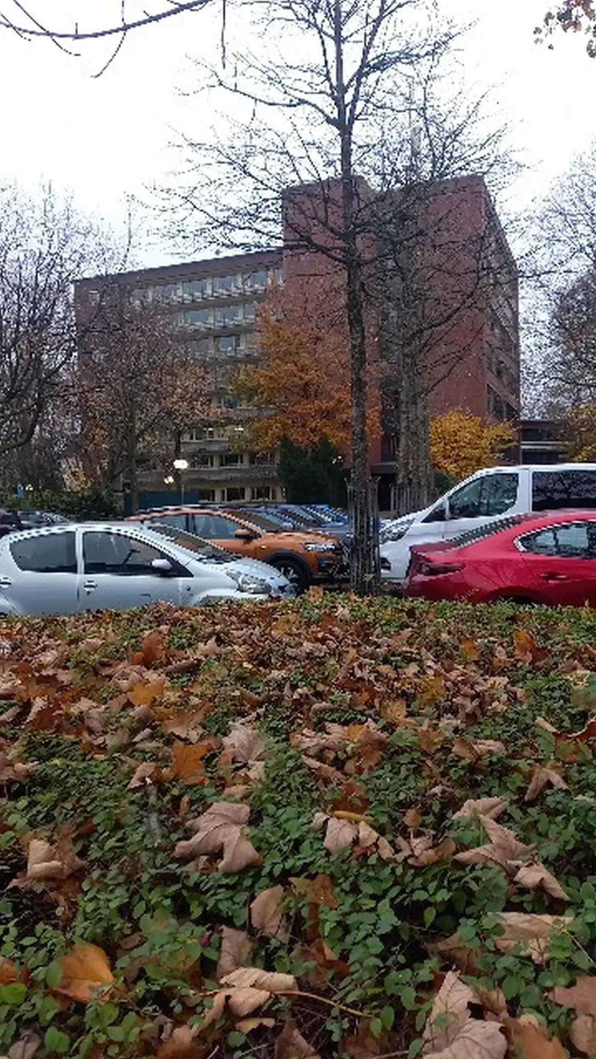 Privatgrundstück Richterstraße Hamborn.