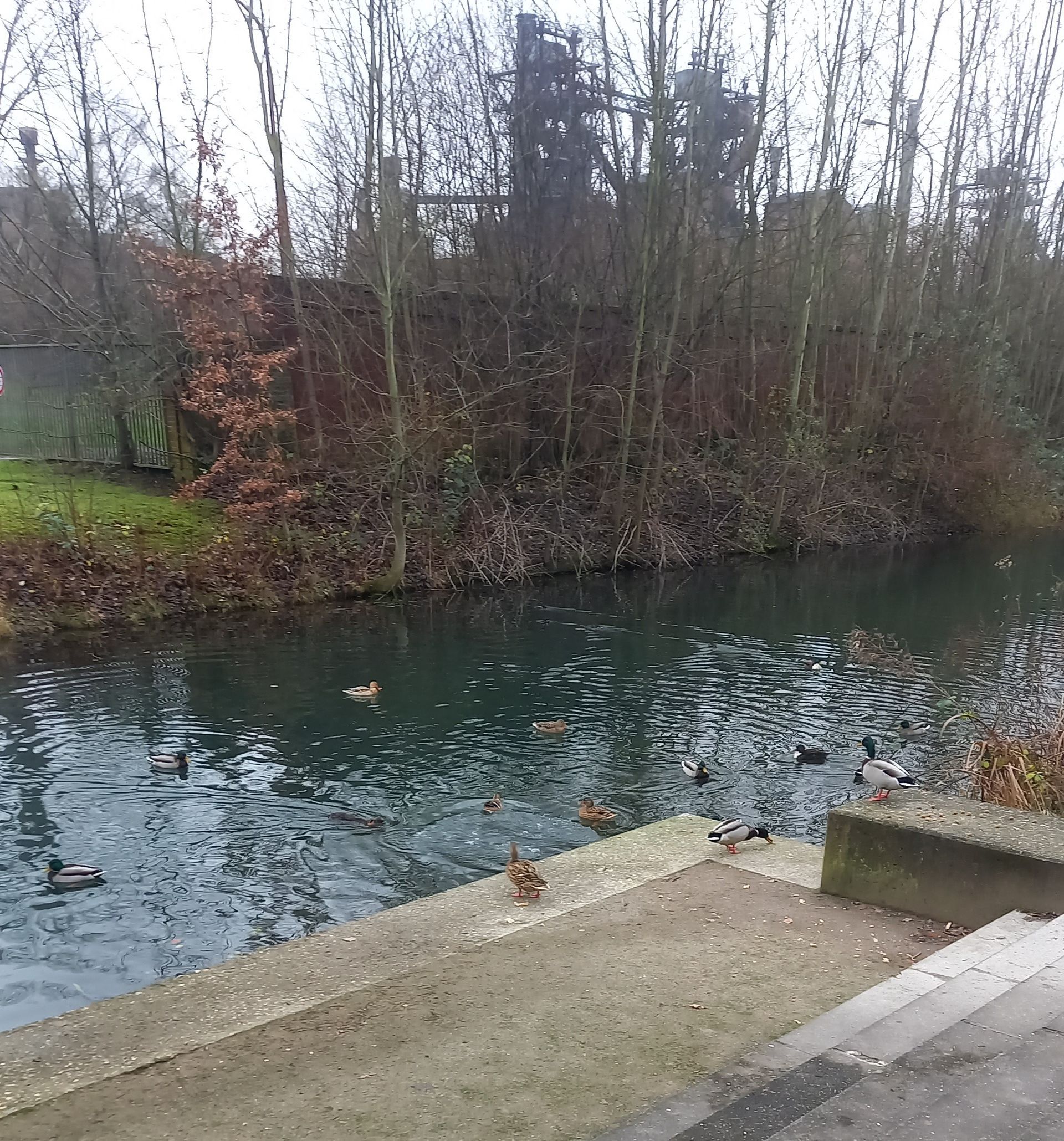 Duisburg Hamborn Landschaftspark Alte Emscher
