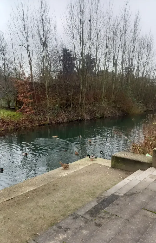 Wasserlauf im Landschaftspark