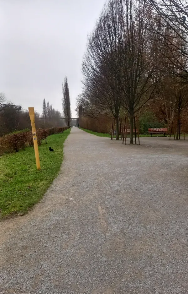 Langer Weg im Landschaftspark