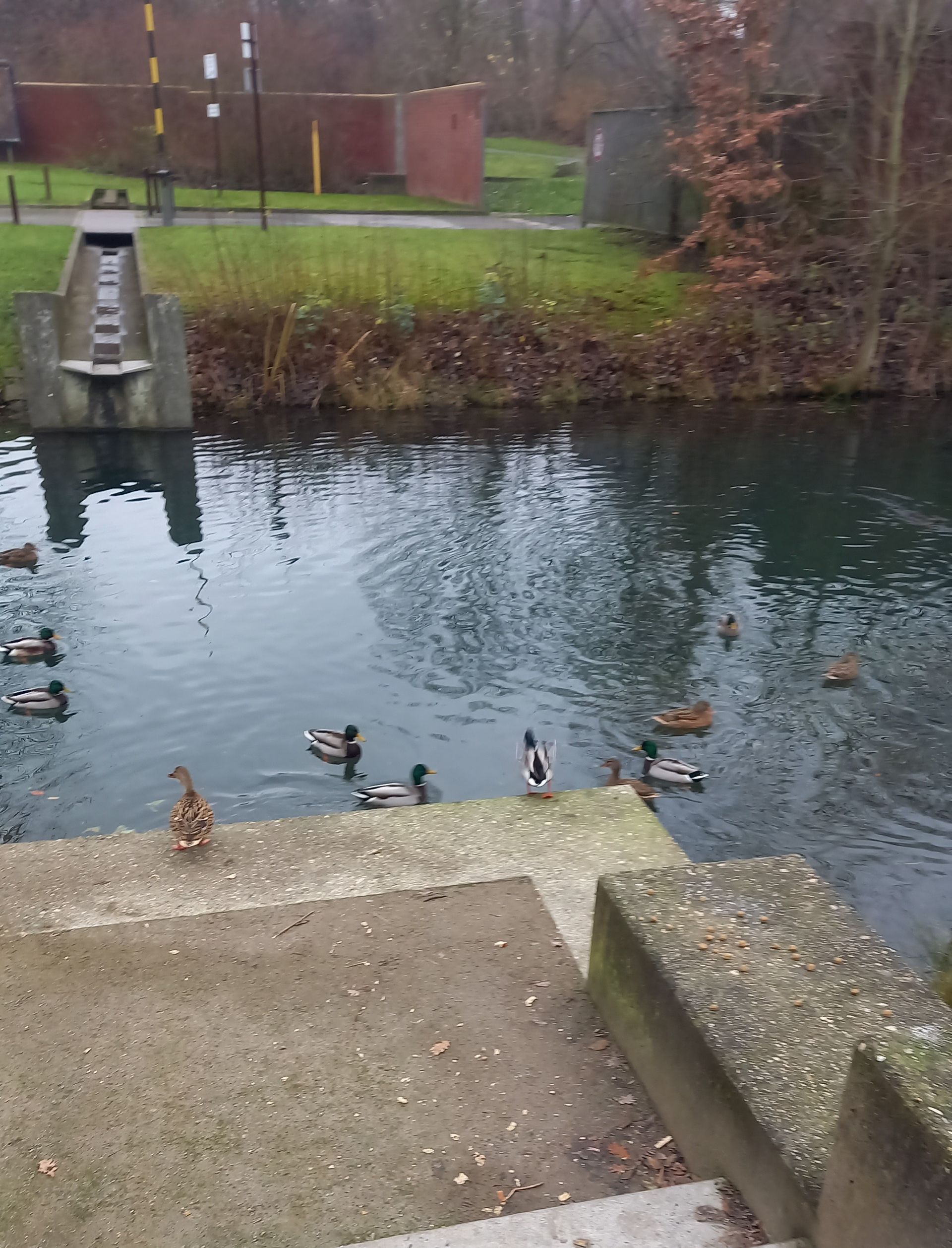 Duisburg Hamborn Landschaftspark Alte Emscher