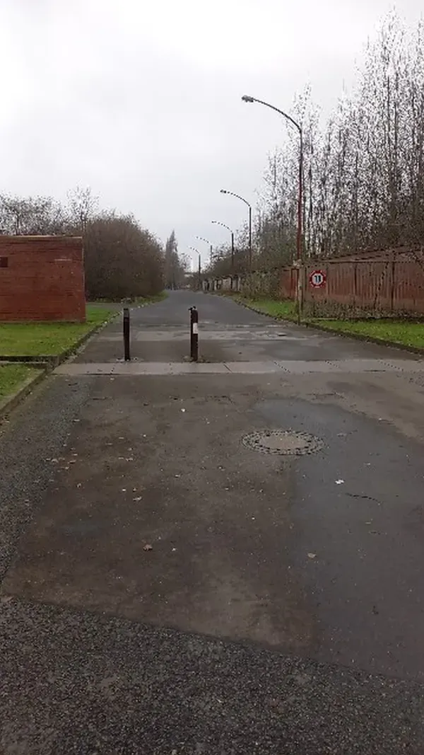  Straße mit Laterne im Landschaftspark