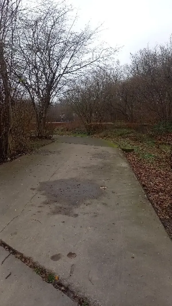 Weg durch Büsche im Landschaftspark