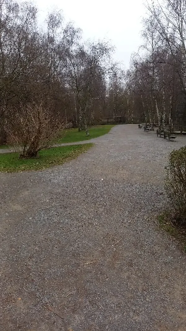  Weg durch Büsche im Landschaftspark