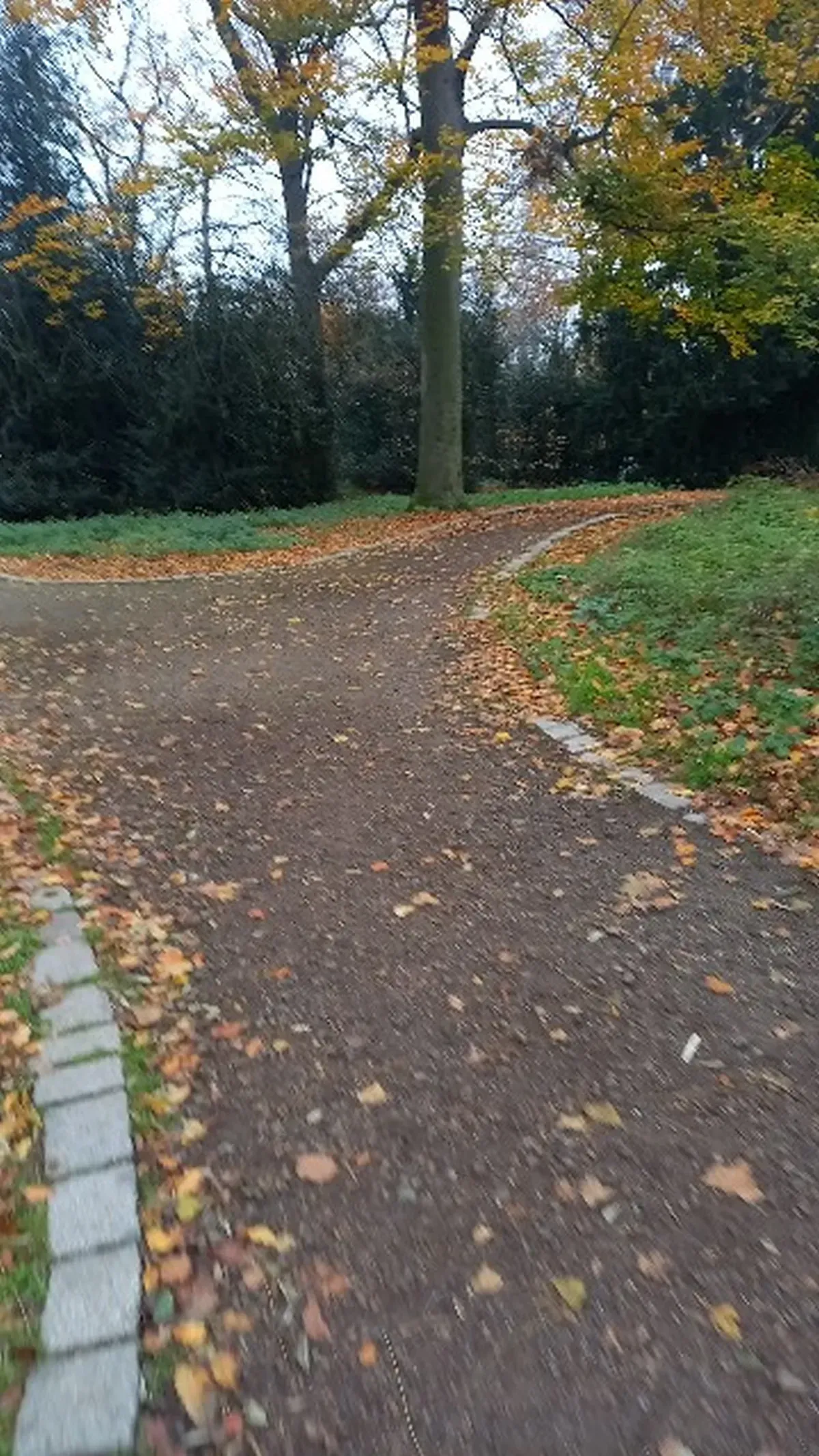 Parkweg Richterstraße Hamborn vorher.