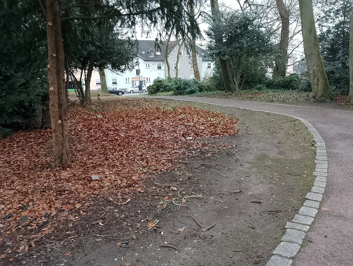 Herbstlaub im Park Hamborn.