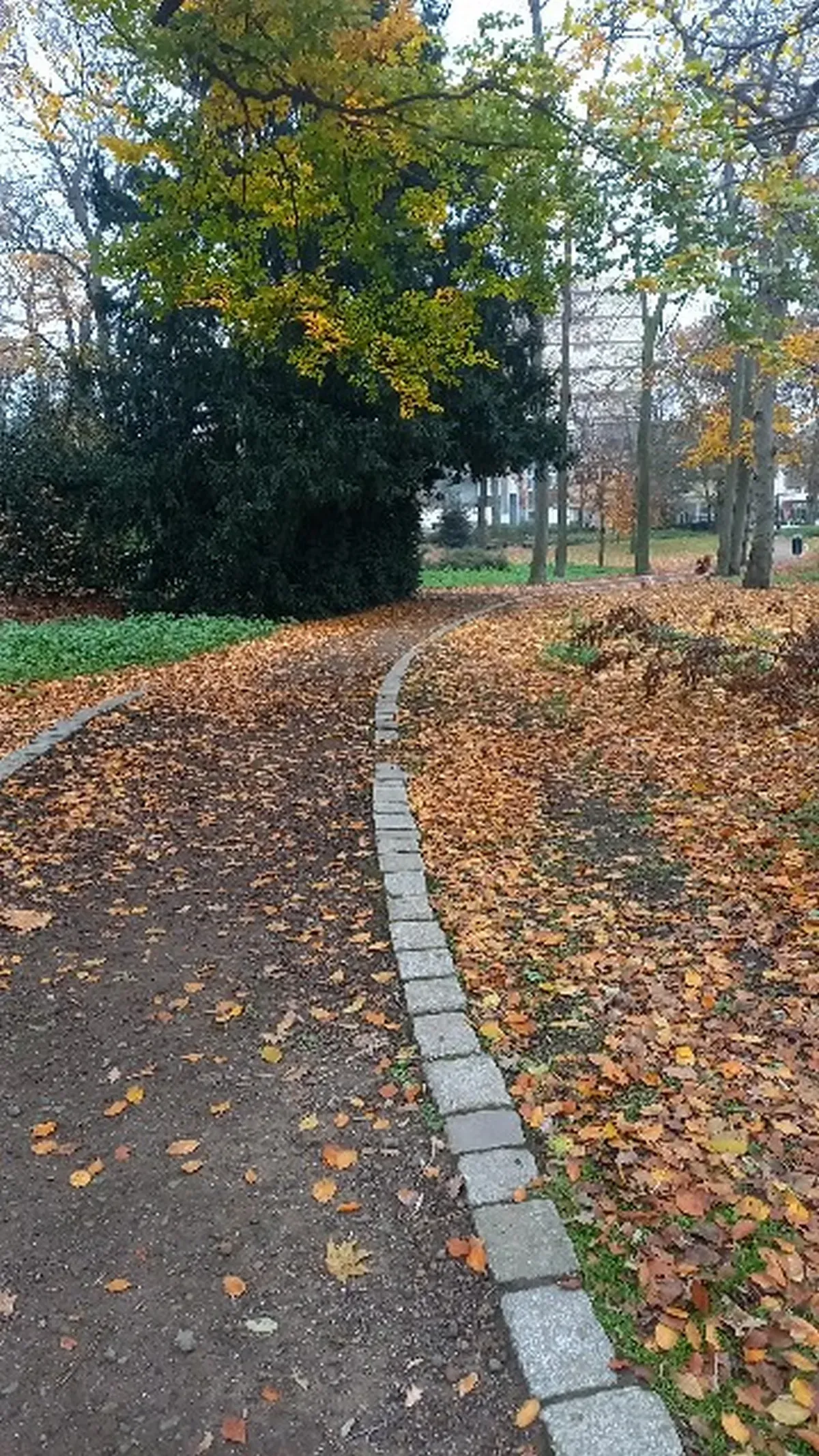 Geschwungener Parkweg Hamborn.