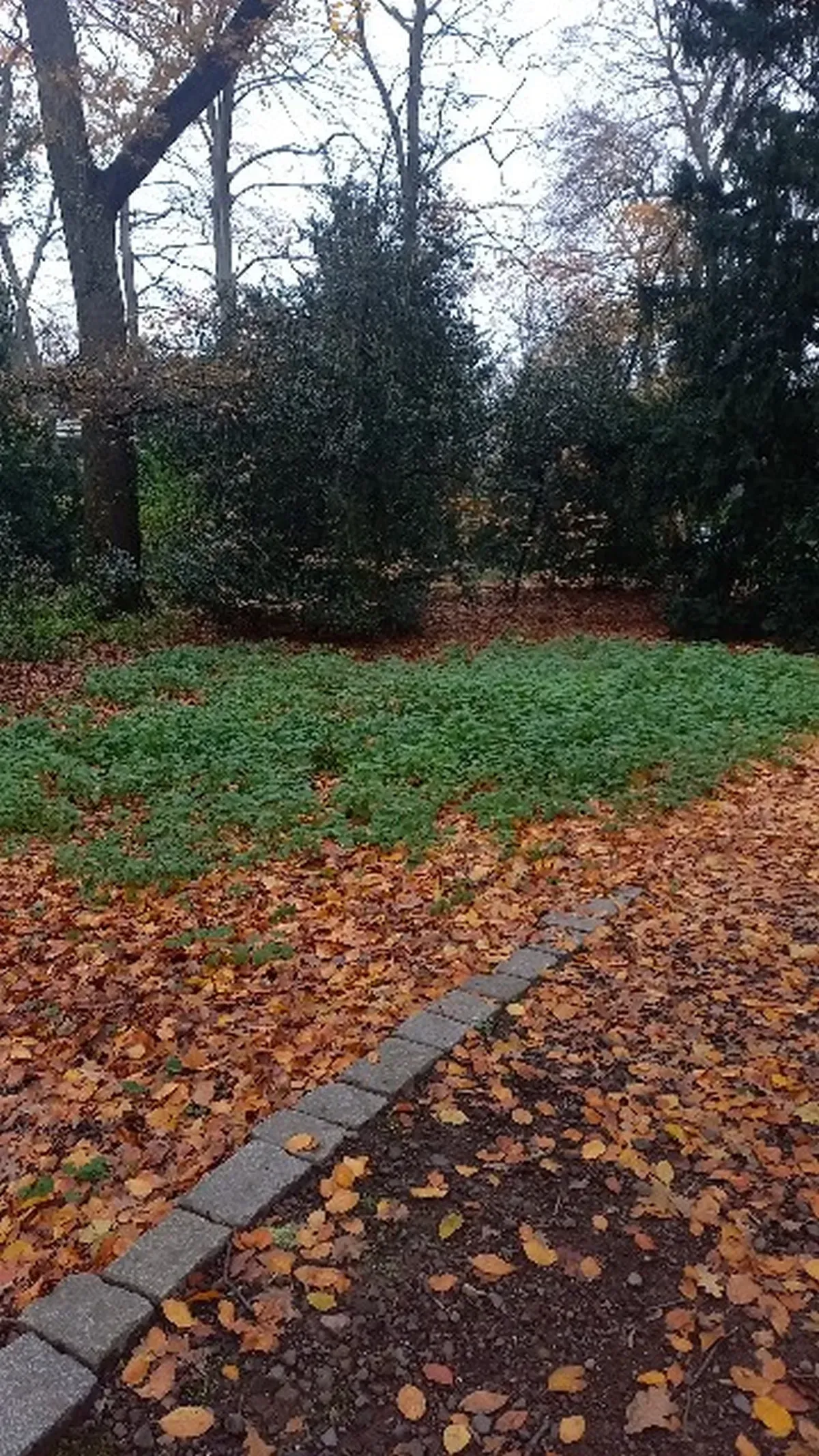 Parkweg Herbst Hamborn.