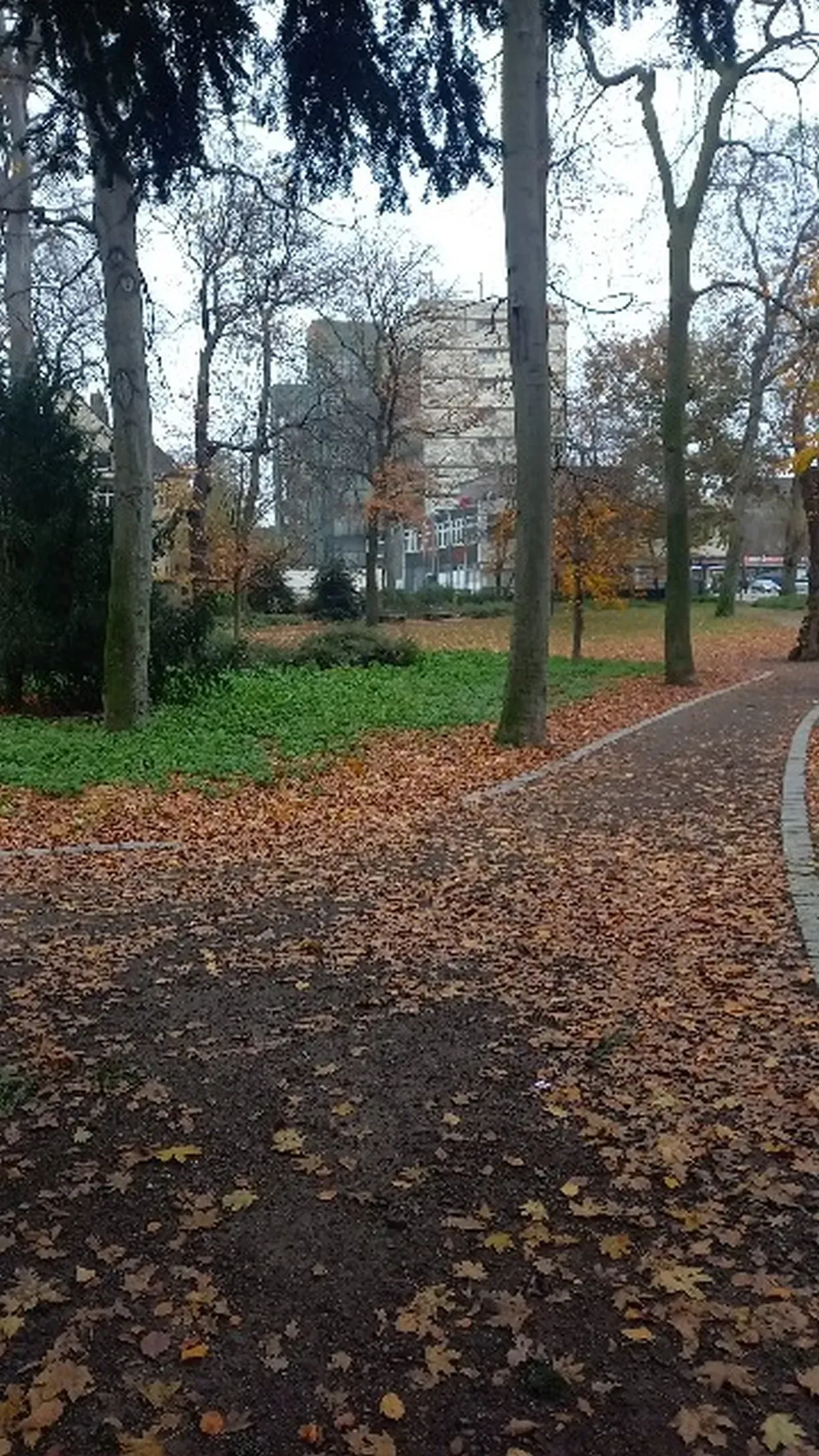 Parkweg mit Laub Hamborn.
