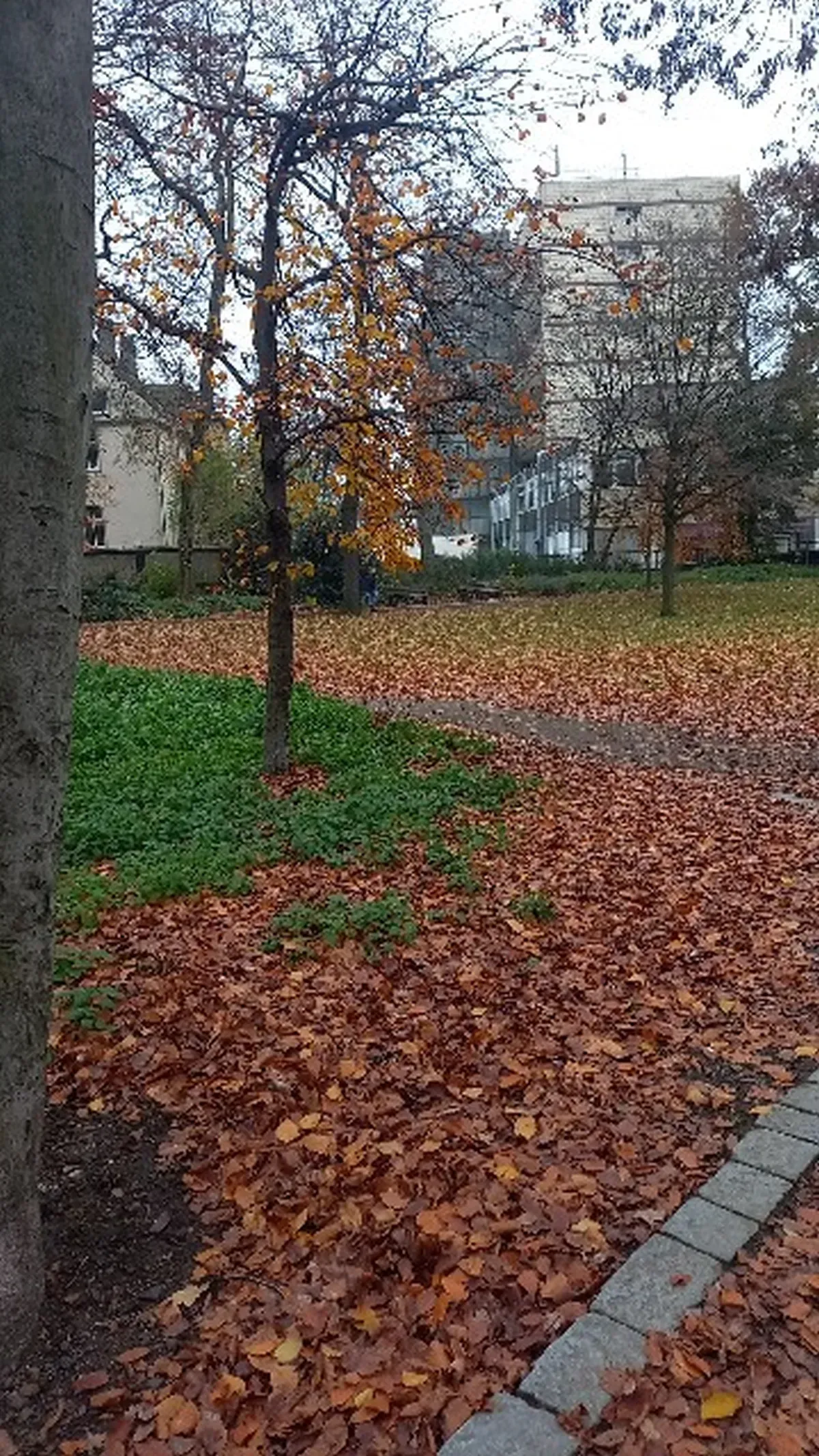 Grünfläche Richterstraße Hamborn.