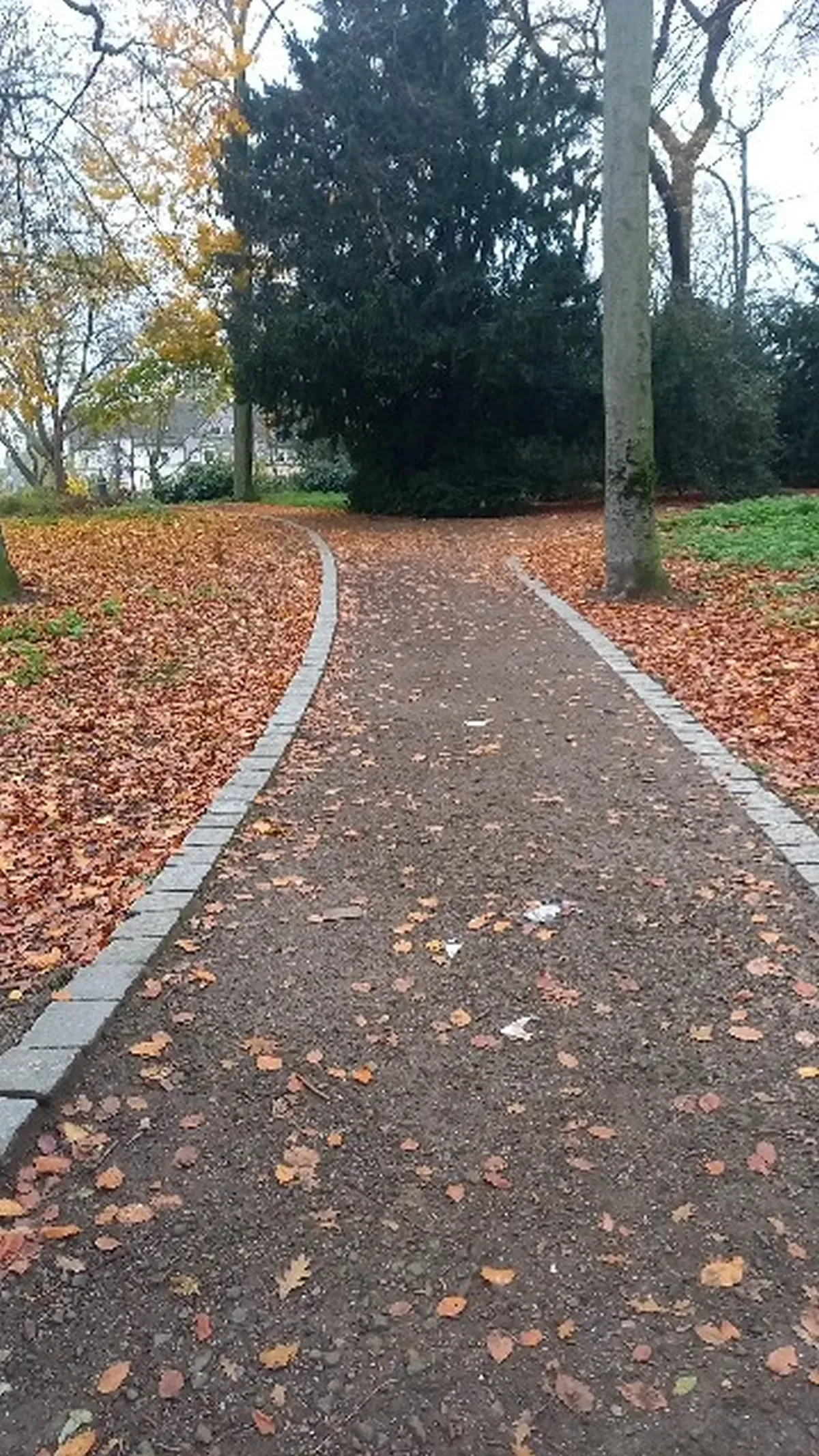 Herbstweg Richterstraße Hamborn.