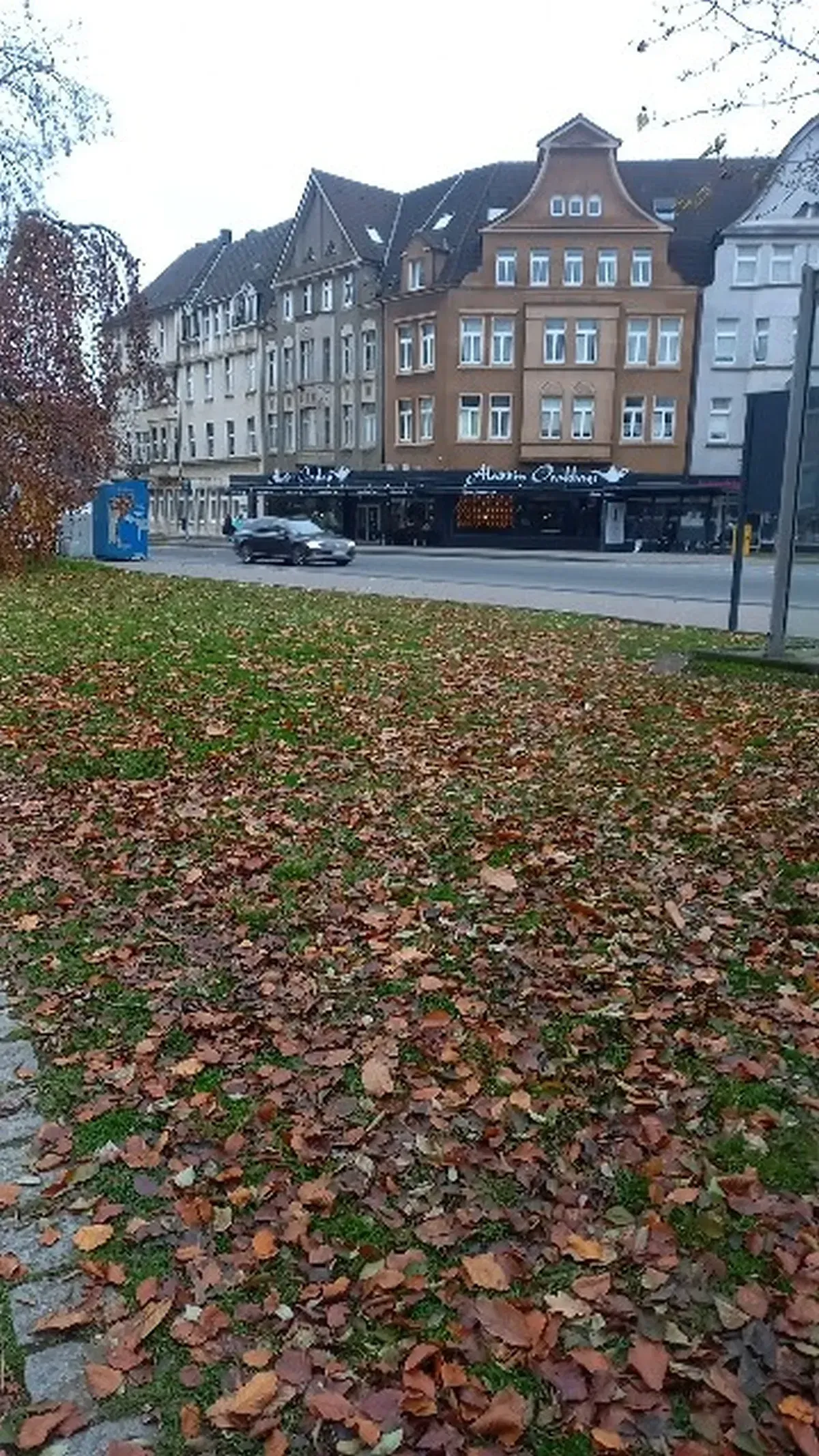 Park Richterstraße Duisburg-Hamborn.