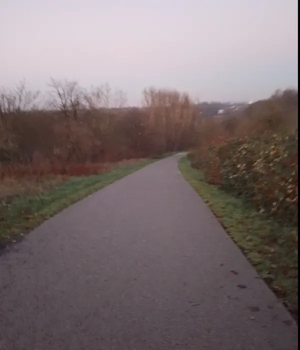 Schmaler Weg durch Büsche im Landschaftspark