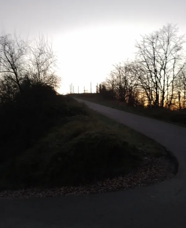  Kurve im Weg im Landschaftspark