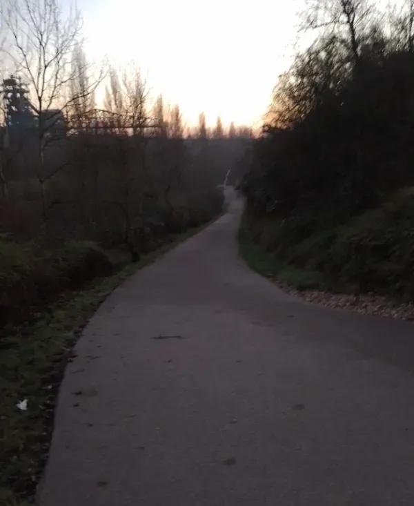 Kurviger Weg im Landschaftspark