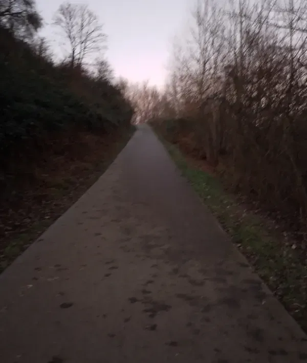 Weg im Landschaftspark bei Abend