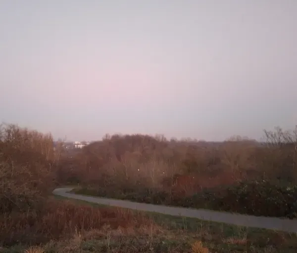  Kurviger Weg durch Natur im Landschaftspark
