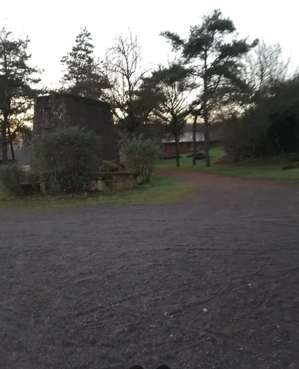 Offene Fläche mit Bäumen im Landschaftspark