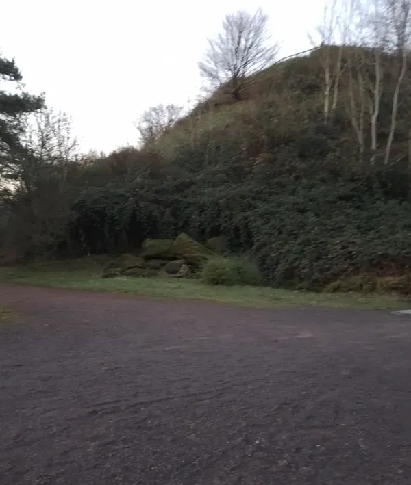 Hügel mit Pflanzen im Landschaftspark