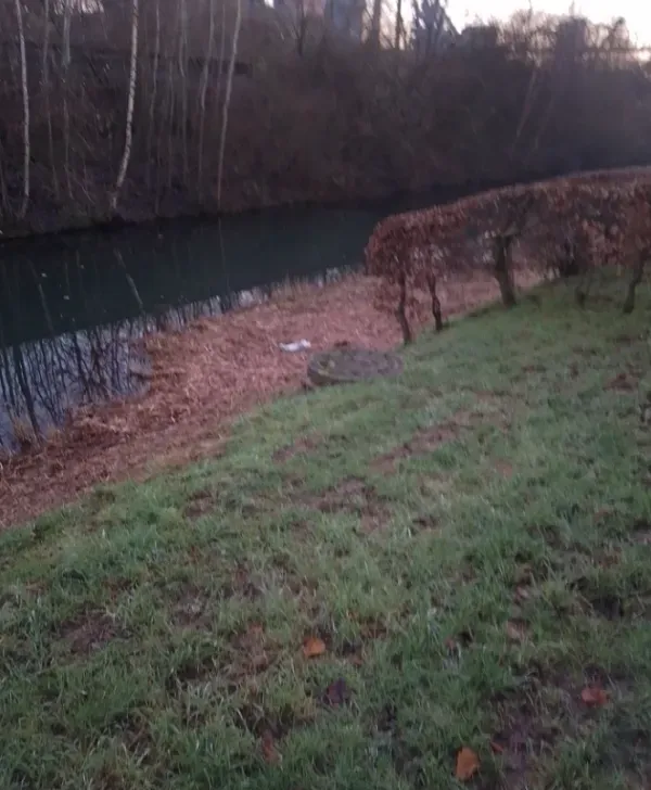  Wasserlauf mit Wiese im Landschaftspark