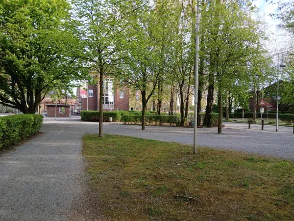 Offener Bereich mit Bäumen im Landschaftspark