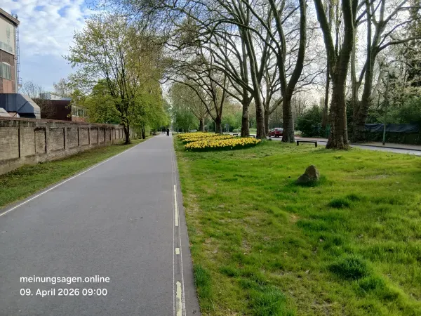 Weg neben einer Wiese im Landschaftspark