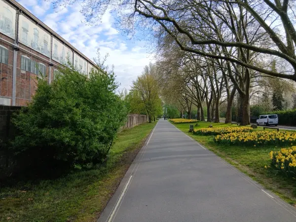 Langer gerader Weg mit Bäumen im Landschaftspark