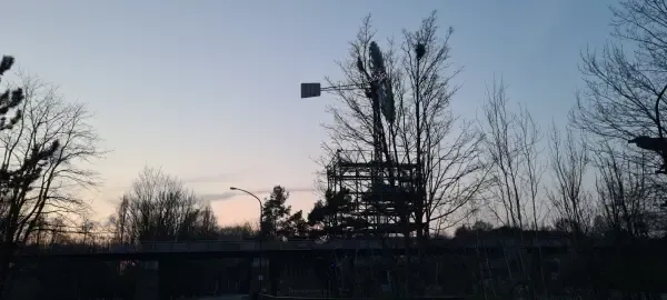  Windrad im Landschaftspark bei Abendlicht