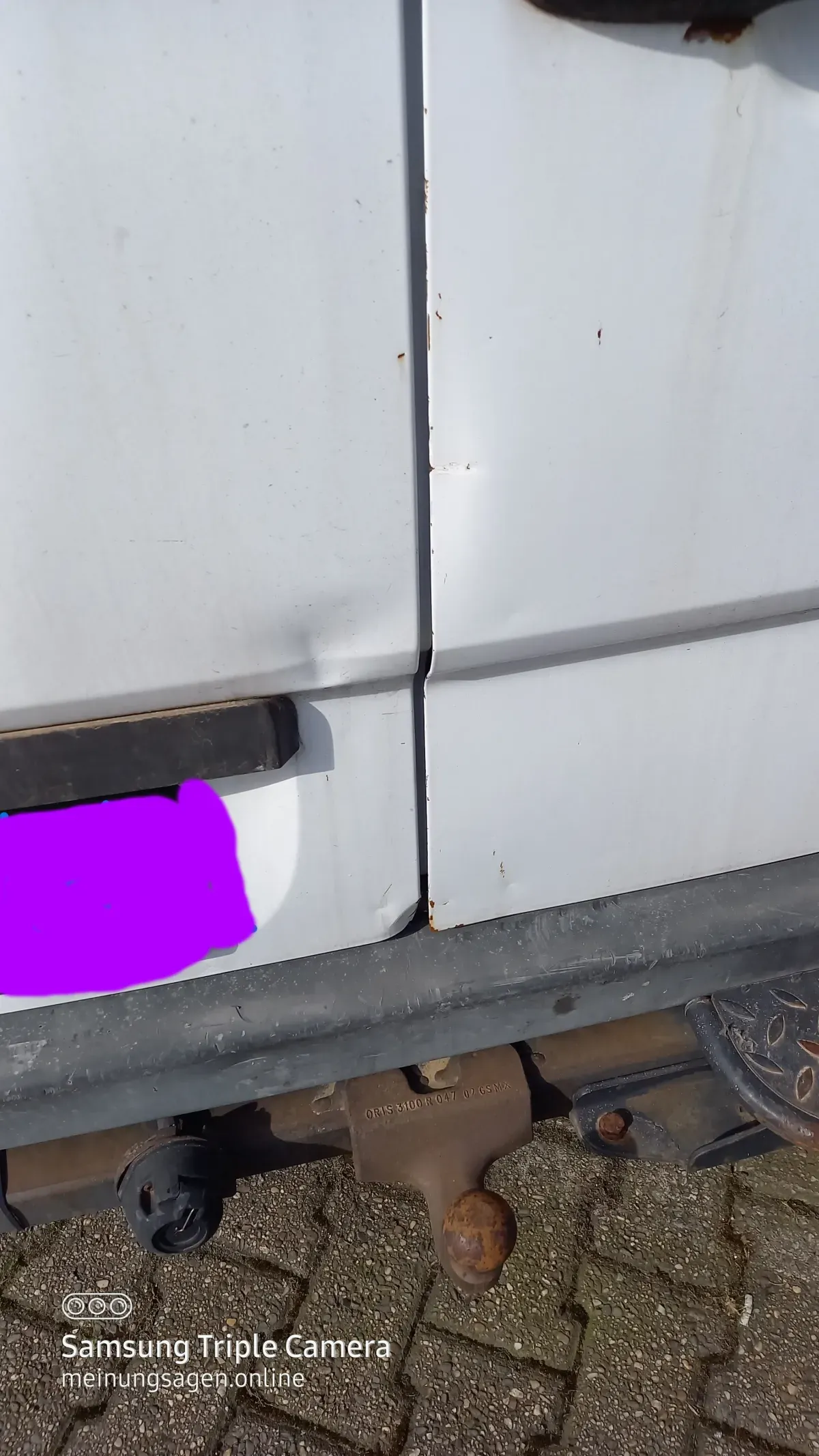 Mercedes Benz Sprinter 313 CDI Weiß 2009  Beulen am Heck Kennzeichen