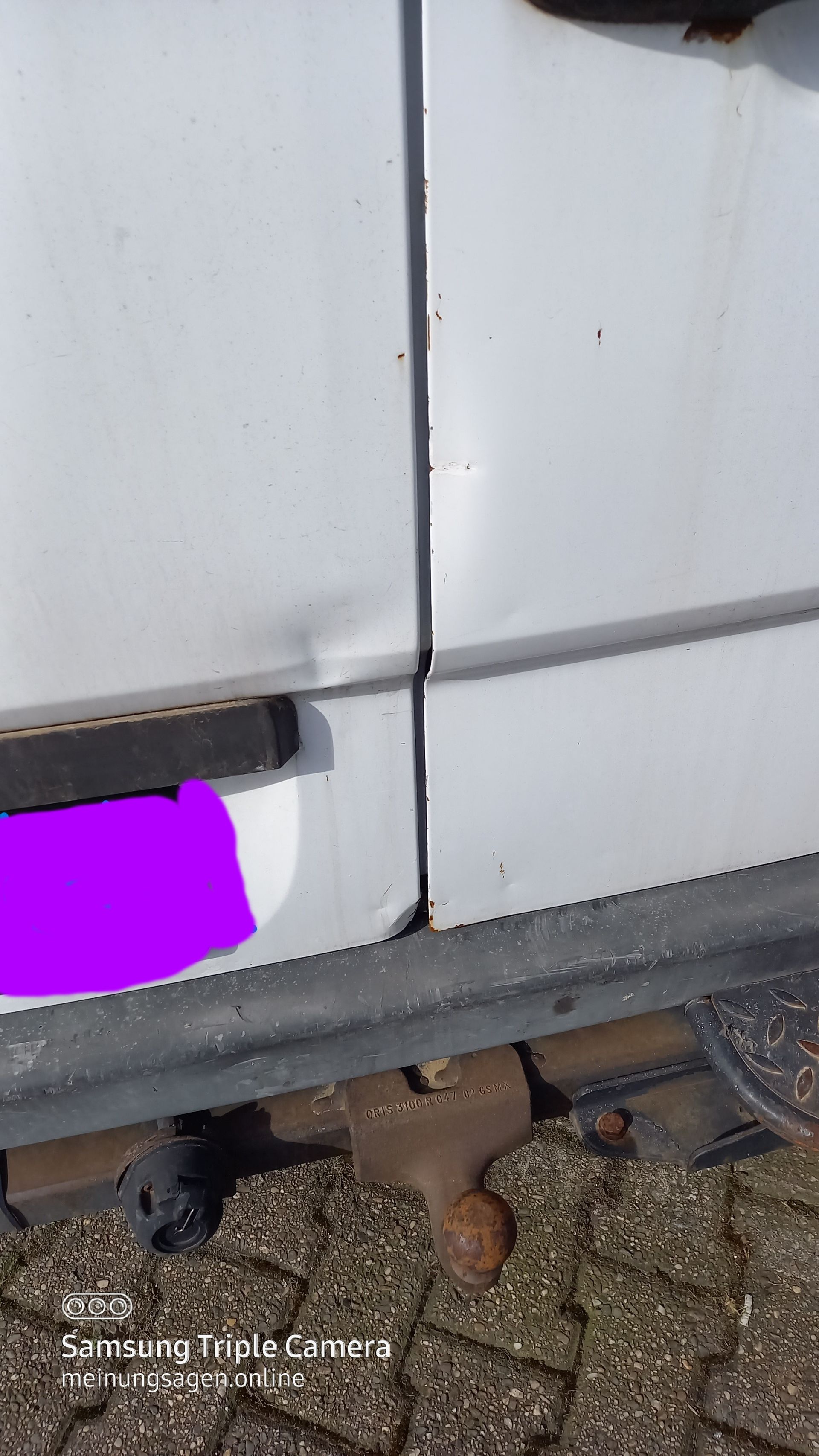 Mercedes Benz Sprinter 313 CDI-Baujahr 2009-Weiss-Beule-Heck Tür