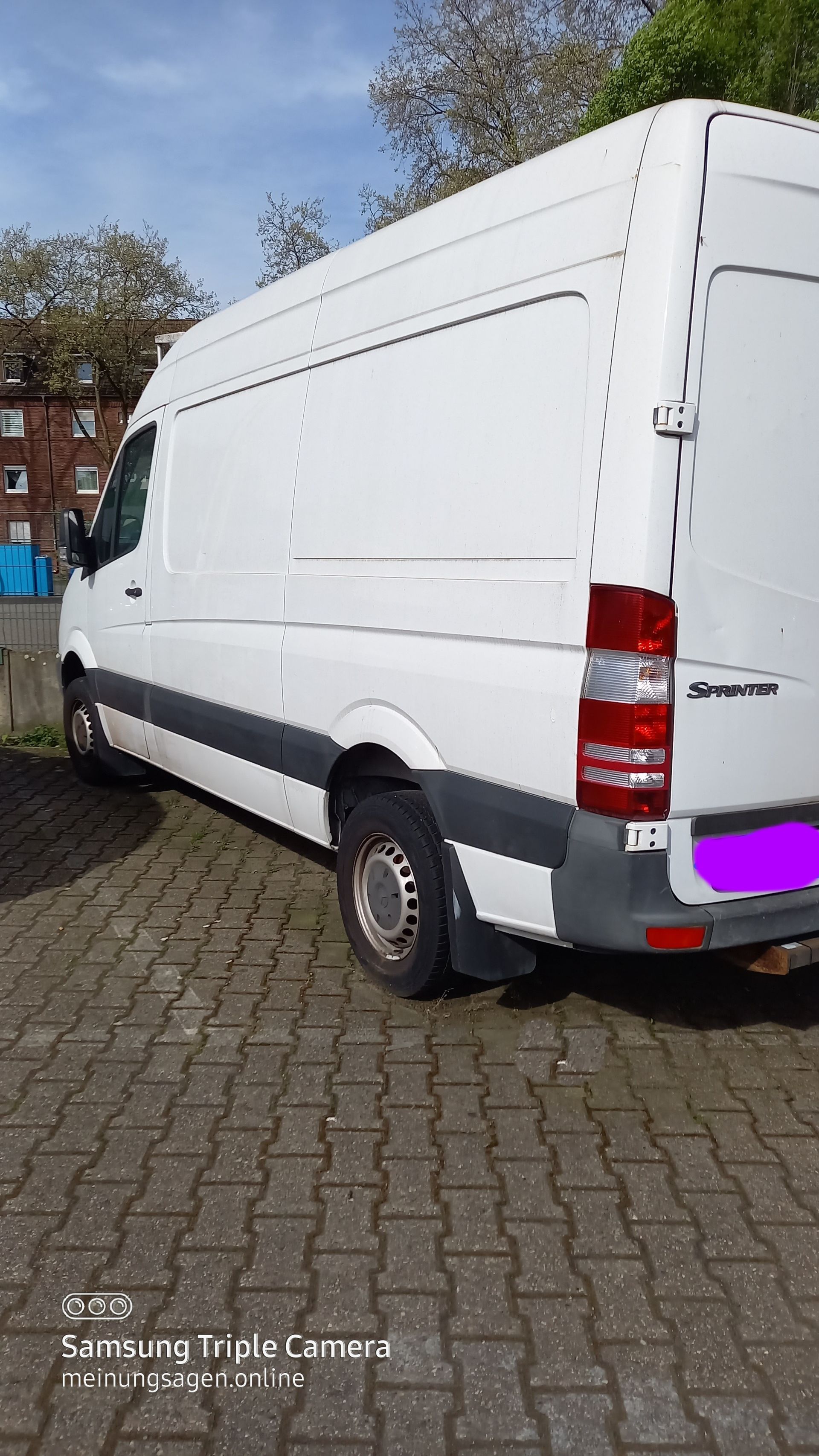 Mercedes Benz Sprinter 313 CDI-Baujahr 2009-Weiss-Fahrerseite-Tür