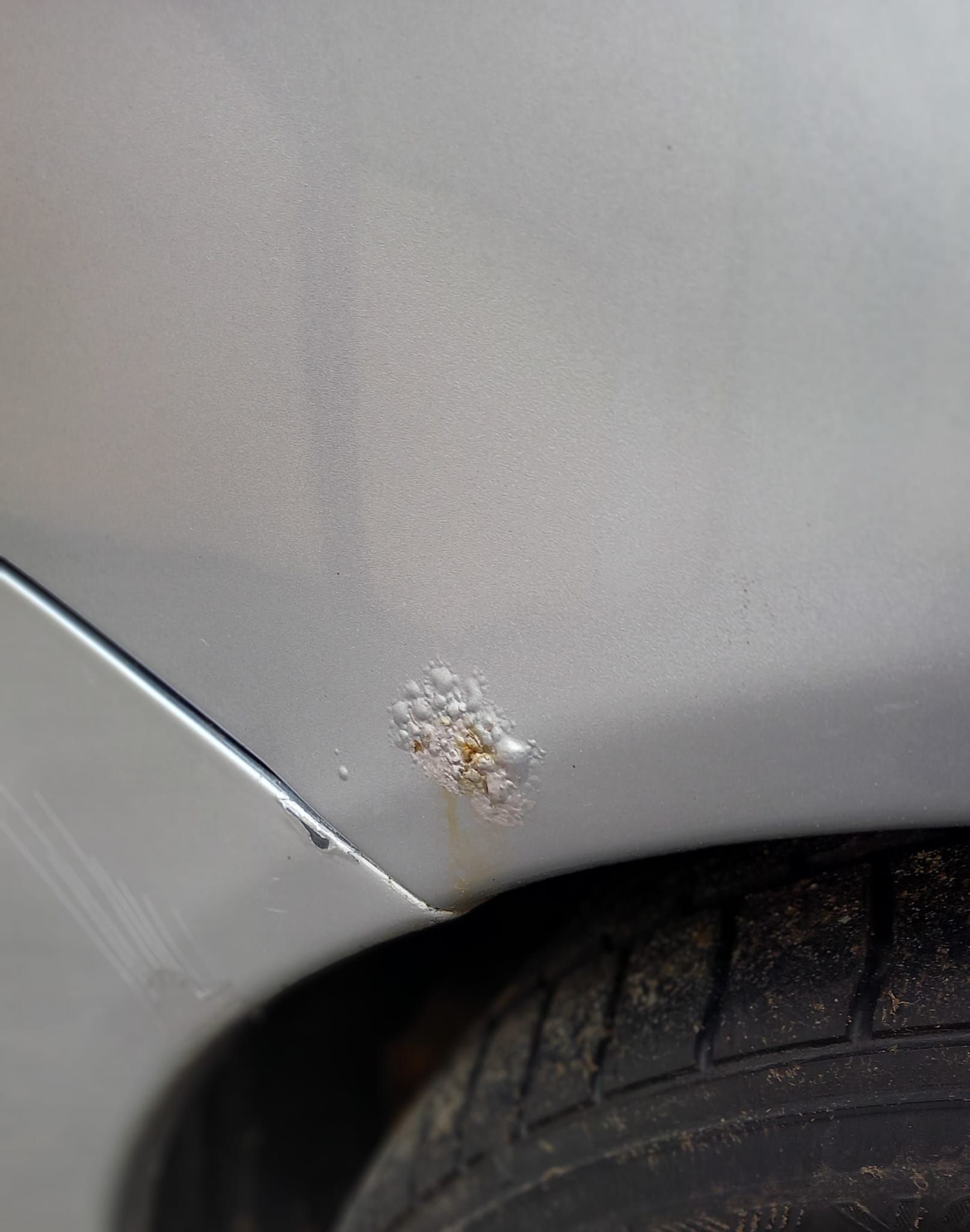 Mitsubishi Lancer-Baujahr 2008-Silber-Rost Radlauf