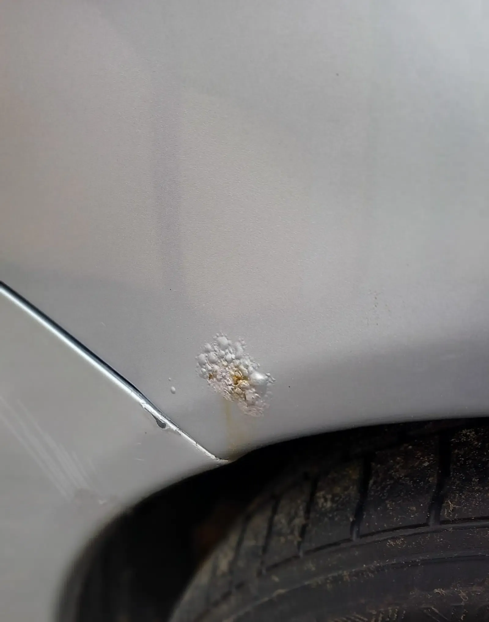 Mitsubishi Lancer-Baujahr 2008-Silber-Rost Radlauf