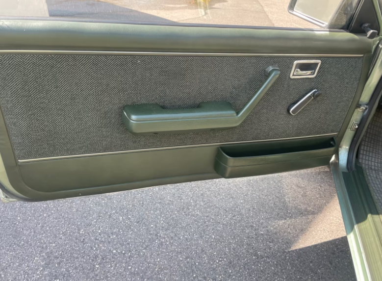 Opel Record-E1-Baujahr 1982-Grün-Fahrertür