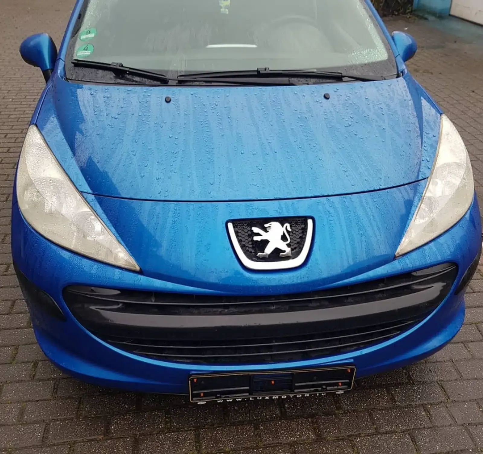 Peugeot 206 Baujahr 2009-3 Türer-Blau-Front