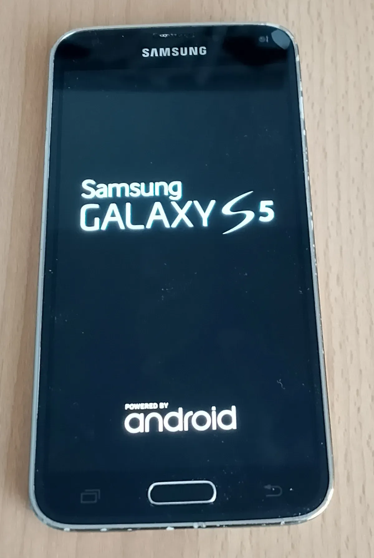 Samsung Galaxy S5 Startet Logo am Display
